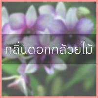 กลิ่นกล้วยไม้ ปริมาณ 400 ml.