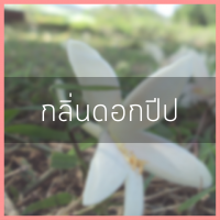 น้ำหอม กลิ่นปีป ปริมาณ 400 ml.