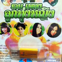 usb รวมเพลงลูกทุ่งหญิง ผ่องศรี วรนุช บุปผา สายชล เรียม ดาราน้อย ไหนว่าไม่ลืม น้ำตาเมียหลวง mp3 usb kt