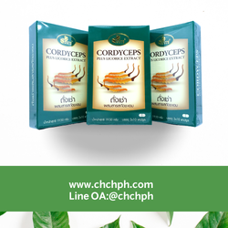 CORDYCEPS plus licorice extract ถังเช่า