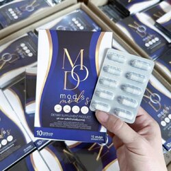 มดเอส Mod S