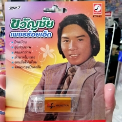 usb บ.กรุงไทย mp3 usb kt คละชุด คละปก ชิ้นละ 195 บาท