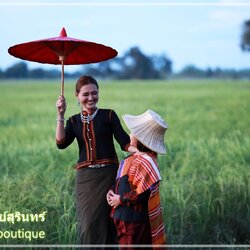 ข้าวหอมมะลิ ข้าวหอมมะลิสุรินทร์ ข้าวหอมสุรินทร์ ข้าวหอม ข้าวหอมมะลิจังหวัดสุรินทร์ ข้าวหอมจังหวัดสุรินทร์ ข้าวหอมเมืองสุรินทร์ ข้าวหอมจังหวัดสุรินทร์