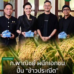 ข้าวประณีตสุรินทร์ ข้าวประณีตจังหวัดสุรินทร์ ข้าวอินทรีย์ประณีต ข้าวหอมมะลิประณีต ข้าวหอมประณีต ข้าวประณีตอินทรีย์