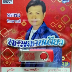 usb ทศพล หิมพานต์ ทศพลคนเดียว รวม 72 เพลง จุ๋มจิ๋ม mp3 usb nvk