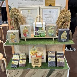 ข้าวสุรินทร์ ข้าว จ.สุรินทร์ ข้าวจังหวัดสุรินทร์ ออกบูทงาน Thailand Rice Fest เทศกาลข้าว