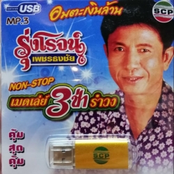 usb รุ่งโรจน์ เพชรธงชัย non-stop เมดเล่ย์สามช่ารำวง 100 เพลง กล่องข้าวน้อย แม่ mp3 usb scp