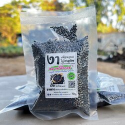 งาดำคั่ว เม็ด 70 กรัม