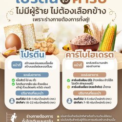 โปรตีน Vs คาร์บ ไม่มีผู้ร้าย ไม่ต้องเลือกข้าง เพราะร่างกายต้องการทั้งคู่