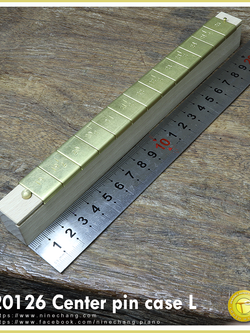 20126 Center pin case L with Center pin