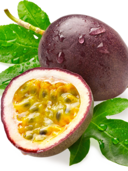 Dehydrated Passion Fruit (เสาวรสอบแห้ง)