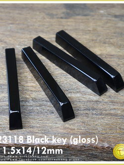23118 Black key (gloss)