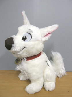 Bolt ขนาด 10 นิ้ว (มือสอง)