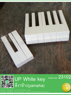 23102 UP White key สีงาช้าง (yamaha)