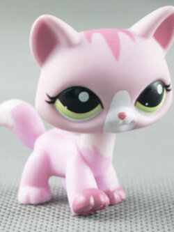 แมวเมนคูน (Maine Coon cat) สีชมพู ตาสีดำแซมเขียว #1788