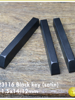 23116 Black key (satin)