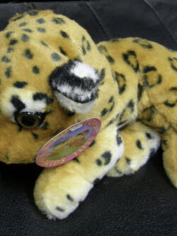 เสือตัวน้อย ขนาดยาว 8 นิ้ว