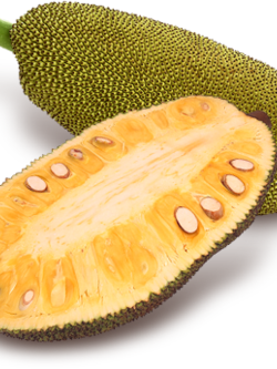 Dehydrated Jack Fruit (ขนุนอบแห้ง)