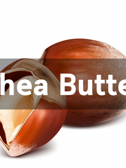 # เชียบัตเตอร์