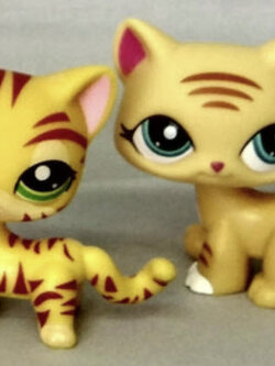 แมวลายเสือ แพ็คคู่ ( #1451 & #133)