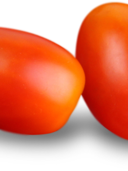 Dehydrated Tomato (มะเขือเทศอบแห้ง)