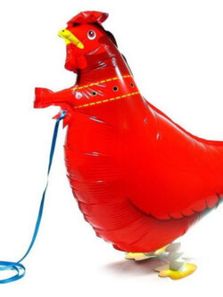 ลูกโป่งไก่เดินได้ / ลูก