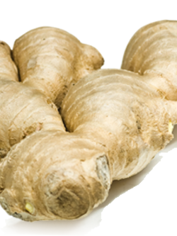 Dehydrated Ginger (ขิงอบแห้ง)