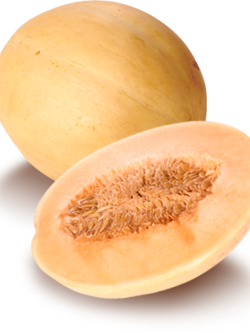 Dehydrated Cantaloupe (แคนตาลูปอบแห้ง)