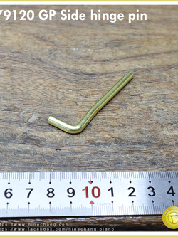 79120 GP Side hinge pin
