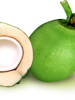 Dehydrated Coconut (มะพร้าวอบแห้ง)