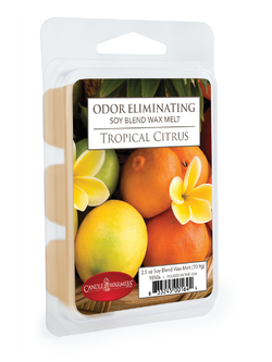 2.5oz Odor Eliminating Wax Melt Tropical Citrus
