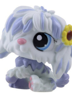 สุนัขขนยาว สีฟ้า-ขาว