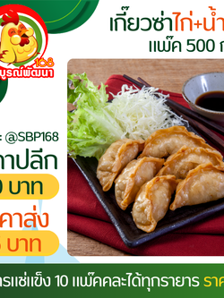 เกี๊ยวซ่าไก่ทอดแพ๊ค20ชิ้น