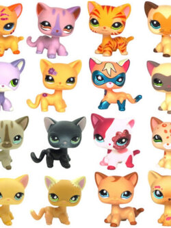 รวมชุดแมวยอดนิยม 16 ตัว