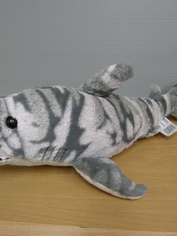 ปลาฉลาม ขนาดยาว 18 นิ้ว (มือสอง)