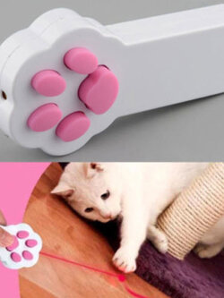 เลเซอร์สีแดงสำหรับน้องแมว