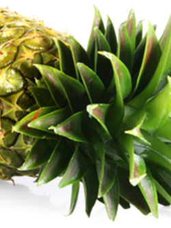 Dehydrated Pineapple (สับปะรดอบแห้ง)