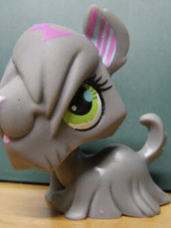 สุนัขสีเทา ตาสีเขียว แต่งลายชมพูที่หู