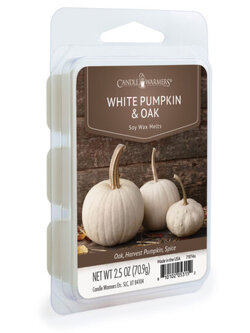 2.5oz Odor Eliminating Wax Melt WHITE PUMPKIN & OAK