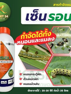 เซ็นรอน สารฟิโพรนิล ภูมิพัฒน์ ออกฤทธิ์เร็ว กำจัดได้ทั้งหนอนและแมลง หนอนกระทู้ผัก ด้วงหมัดผัก หนอนม้วนใบ