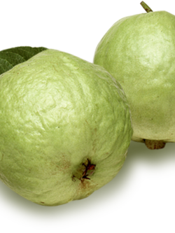 Dehydrated Guava (ฝรั่งอบแห้ง)