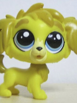 สุนัขสีเหลือง Yellow Sheep dog