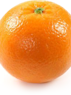 Dehydrated Mandarin Orange (ส้มแมนดารินอบแห้ง)