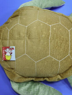 ตะพาบ กระดองน้ำตาล ยาว 26 นิ้ว (ไทย)