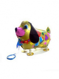 ลูกโป่งฟอยล์สุนัขสีทองเดินได้ / ลูก