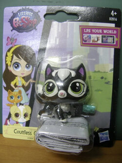 แมว Countess Cattery สีดำ ตาสีเขียว