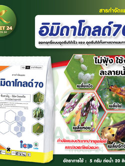 ยากำจัดแมลง อิมิดาโกลด์ 70 (อิมิดาโคลพริด 70% WG) กำจัดเพลี้ย เพลี้ยไฟ เพลี้ยไก่แจ้ เพลี้ยจั๊กจั่น เพลี้ยหอยนาสาร ยาดูดซึม (ขนาด 500 กรัม) ส่งฟรีเก็บเงินปลายทาง (ไม่บวกเพิ่ม)