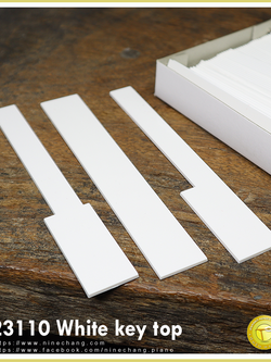 23110 White key top