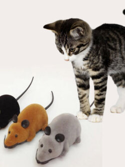 หนูรีโมท / ตัว