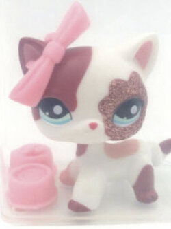 แมว Short Hair #2291 สีขาว-แดง พร้อมชุดแต่ง